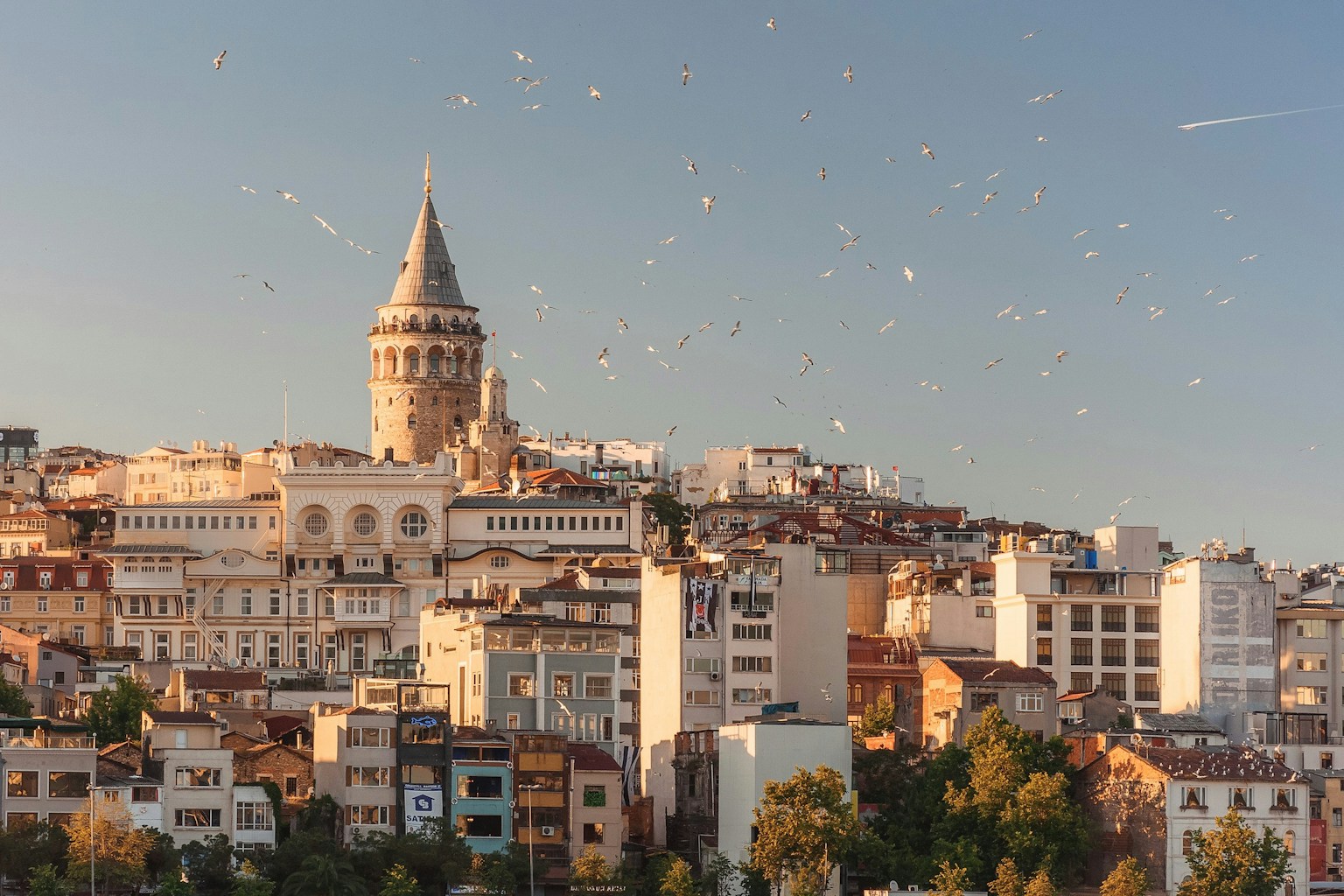 Food Tour in Istanbul: Savor the Best Street Foods the City Has to Offer