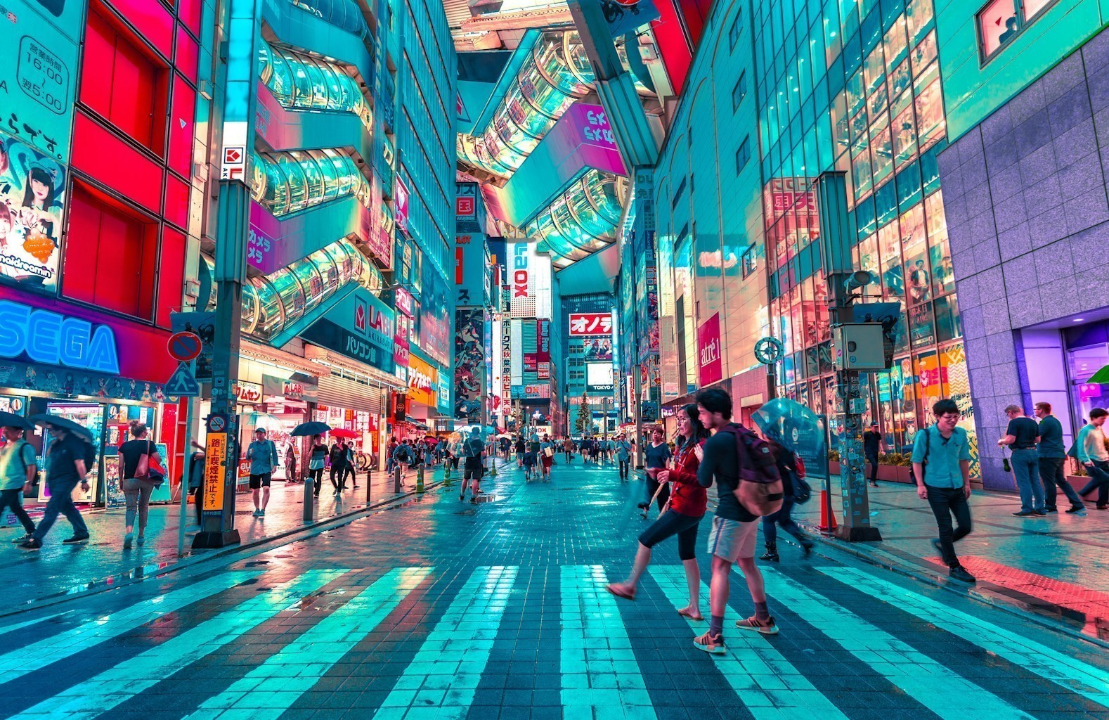Solo Travel in Tokyo: Tips for Independent Explorers
