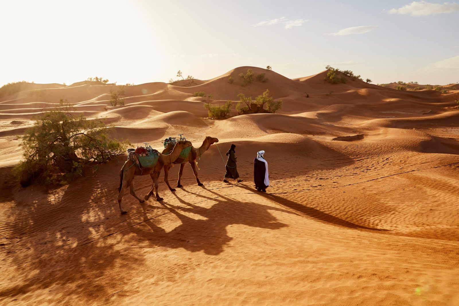 Dubai Desert Safari