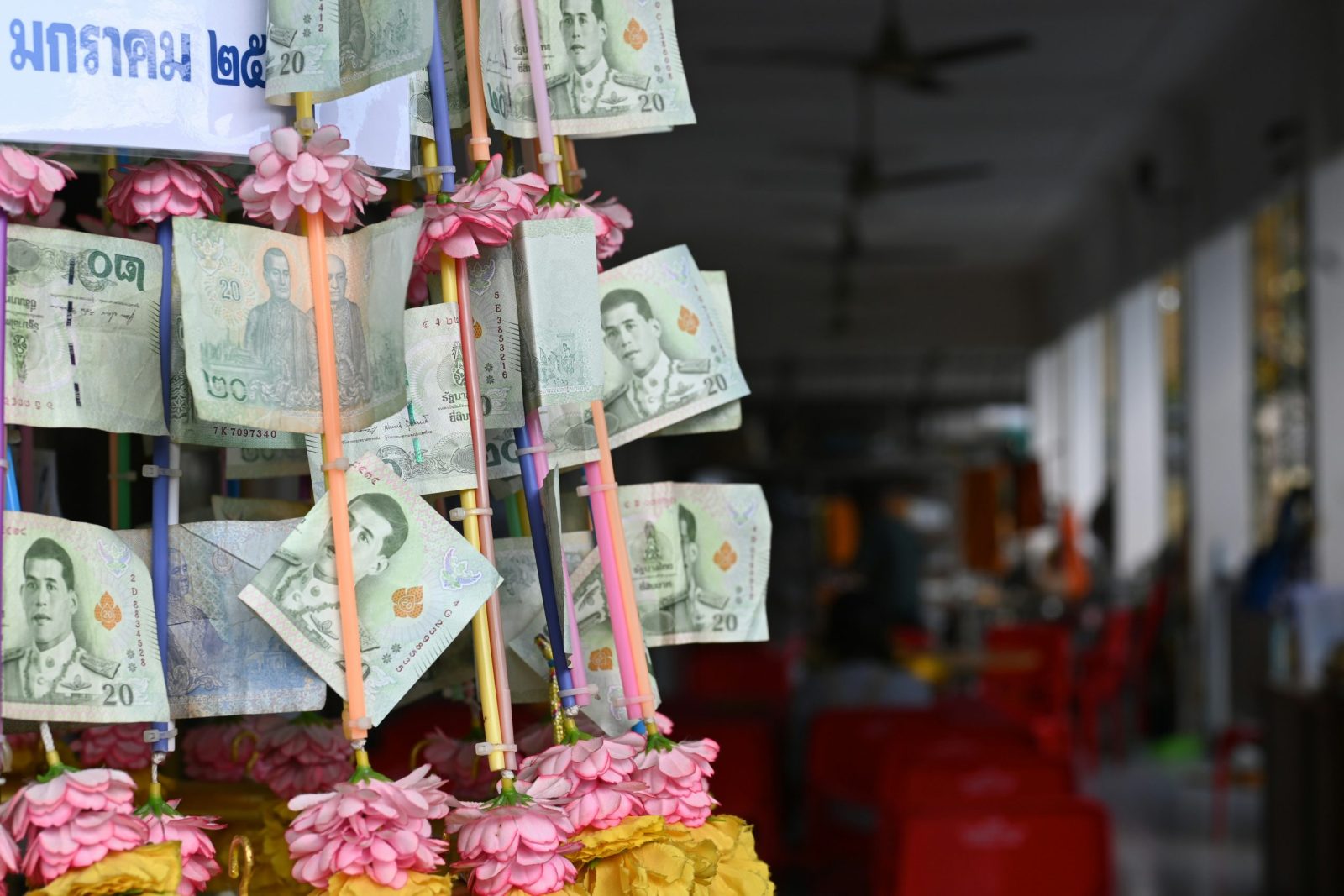Budget Traveler’s Dream: How to Explore Thailand on Less Than $50 a Day