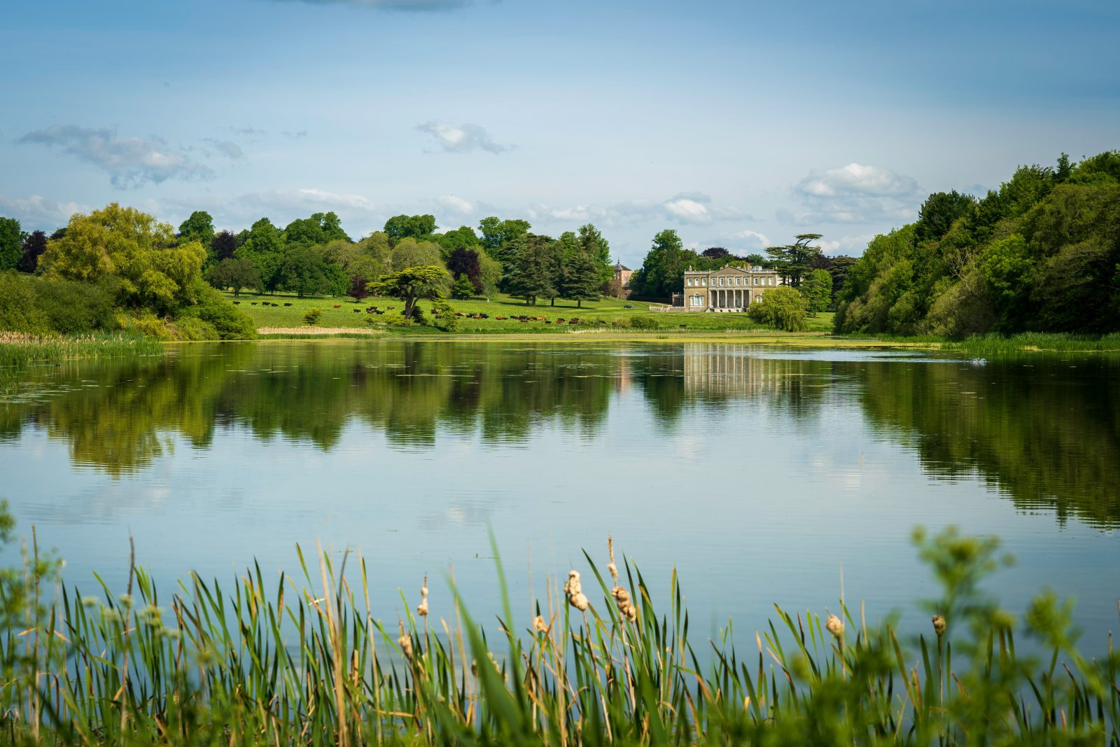 A Journey Through the English Countryside: Top Destinations for Nature Lovers