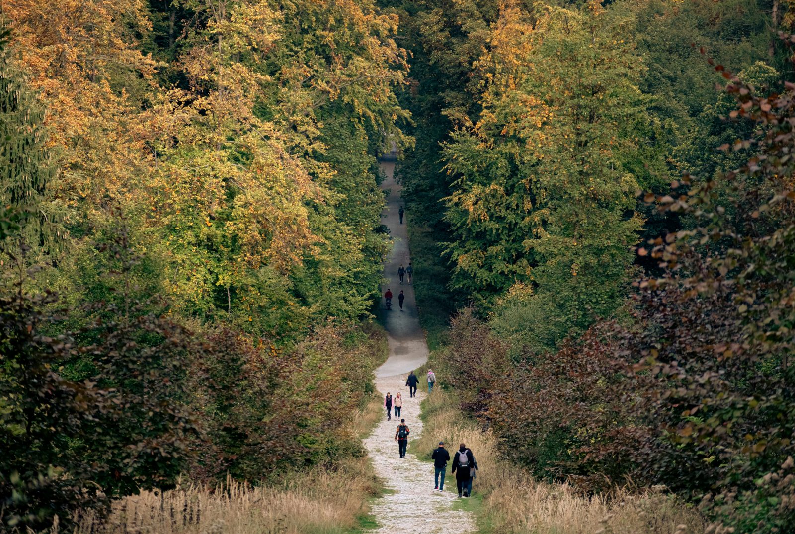 Exploring the Best Hiking Trails in Germany: A Guide for Nature Lovers